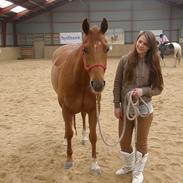 Quarter peppy maclou design 