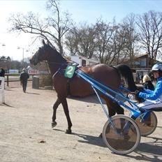 Traver Oberst Køjborg