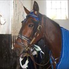 Traver Oberst Køjborg