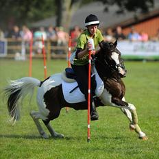 Lewitzer Gaspaspon II