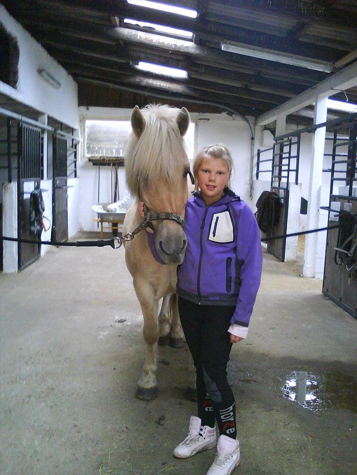 Fjordhest Kasper "halvpart" - miig og kasper..........<3 billede 1