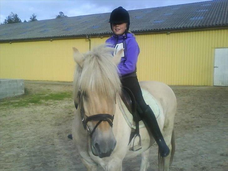 Fjordhest Kasper "halvpart" - kasper den smukke................<3 billede 2