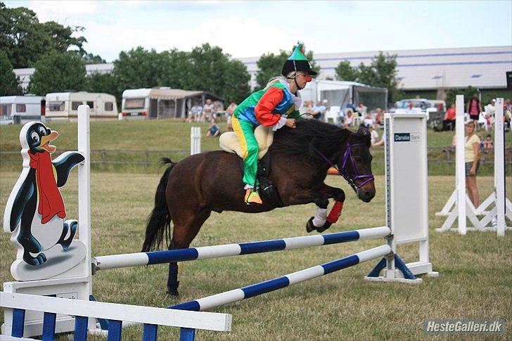 Anden særlig race Viktor (solgt) ;( billede 13