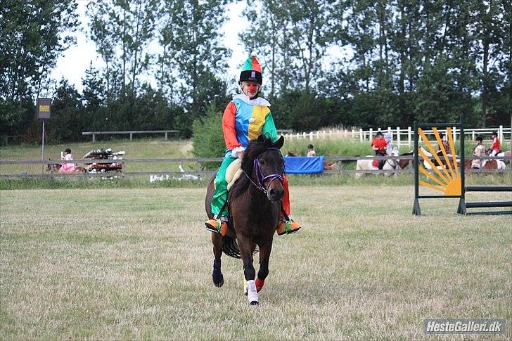 Anden særlig race Viktor (solgt) ;( - Udklædnings show billede 16