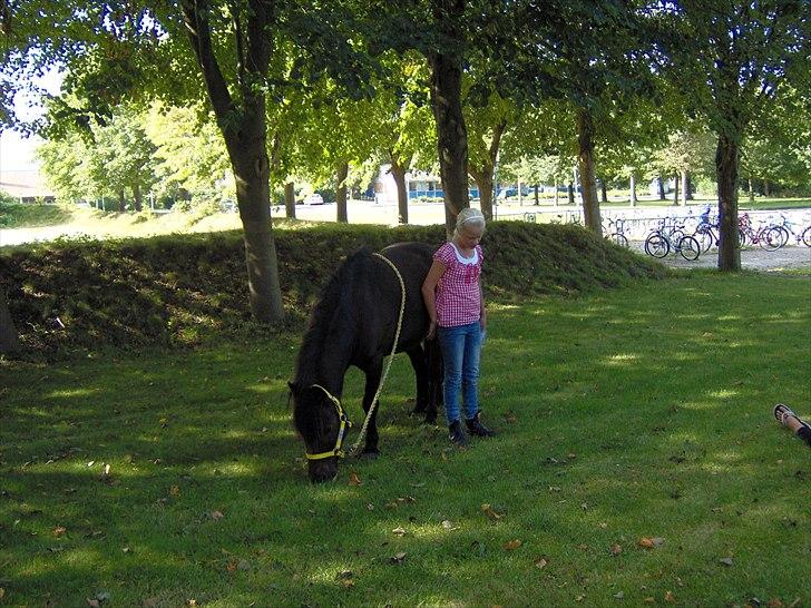 Anden særlig race Viktor (solgt) ;( - Han var min opgave, så jeg fik lov at tage ham med i skole:D billede 18