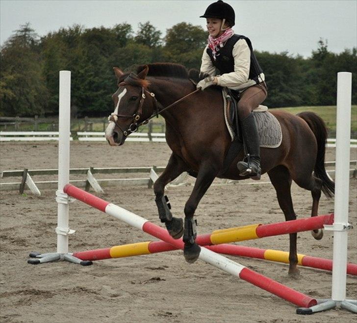 DSP Red Lady billede 17