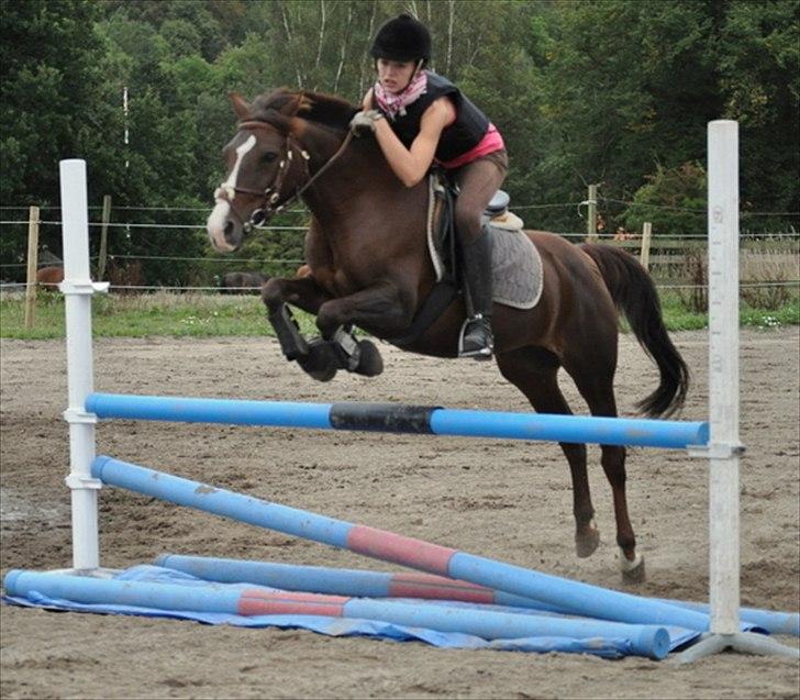 DSP Red Lady billede 18