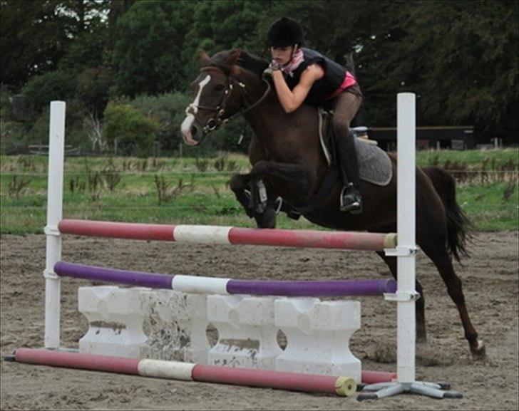 DSP Red Lady billede 19