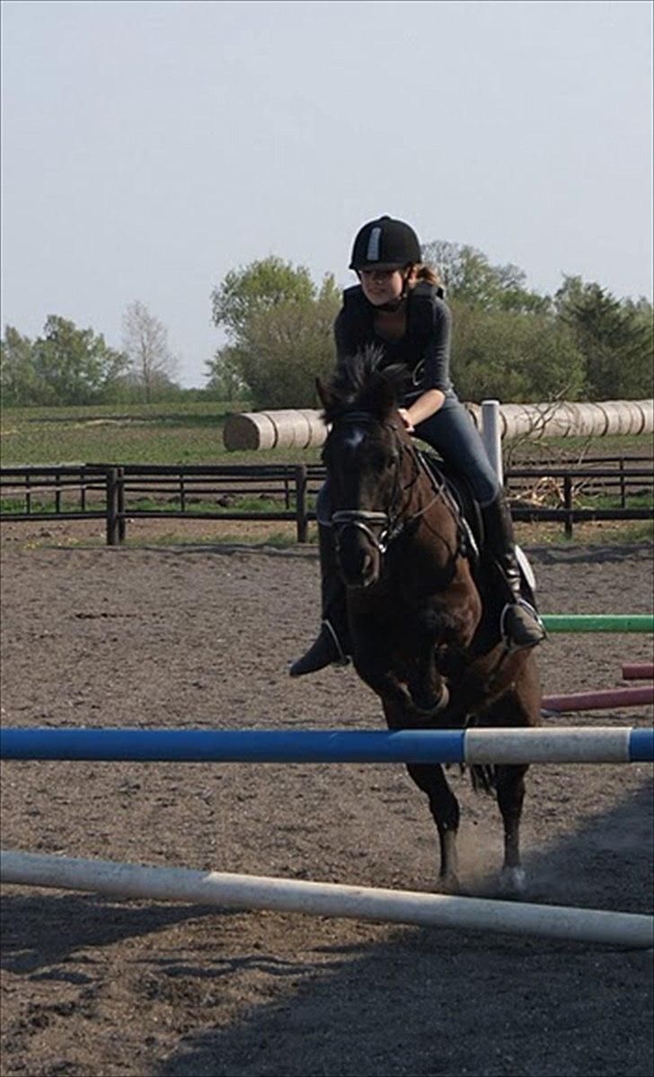 Anden særlig race Bandit<3 - Mig og Bandit til springtrænning. Elsker den lille springstjerne! <3 :) Taget af Maria Mortensen 27/4 2011. Verdens Bedste fotograf! :D billede 11