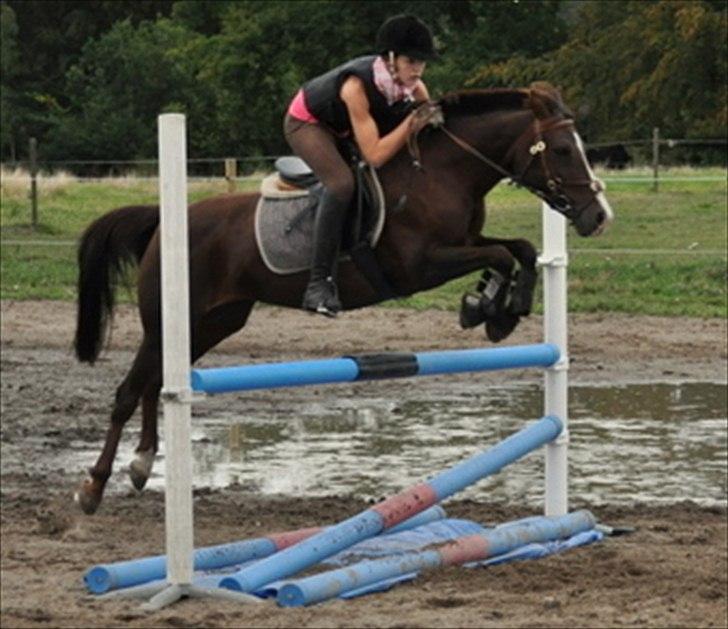 DSP Red Lady billede 20