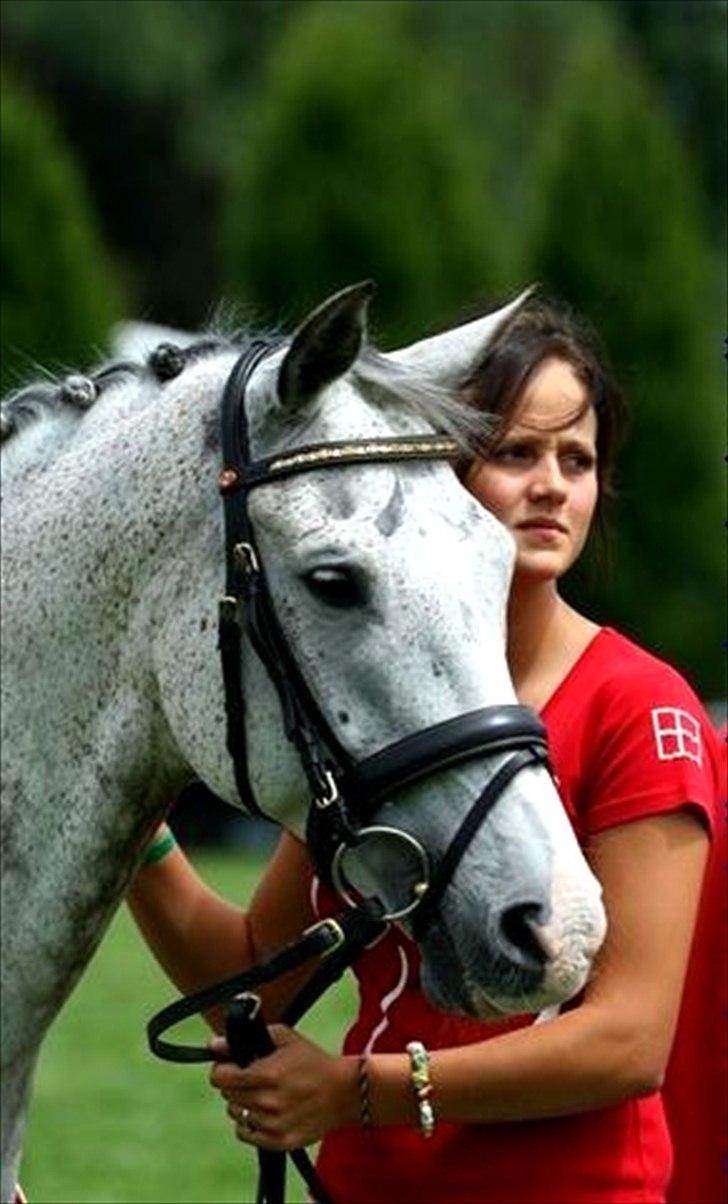 Anden særlig race Braveheart billede 15