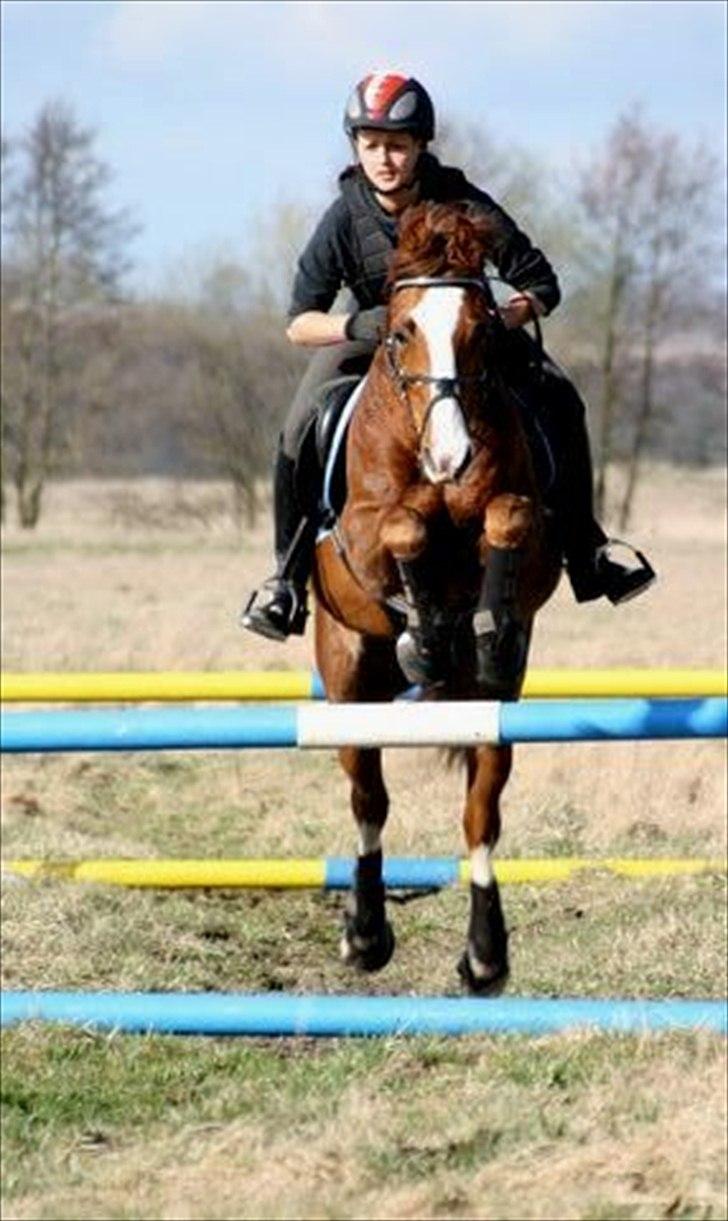 DSP Bonheur A Tout billede 2