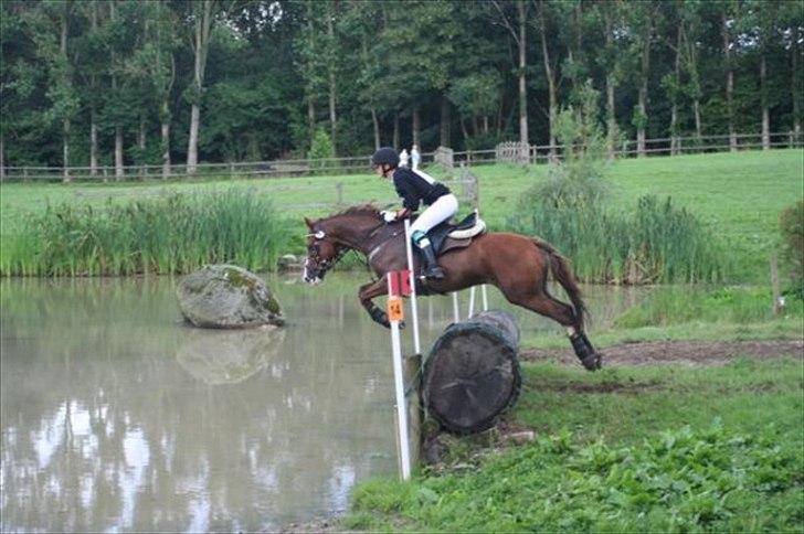 DSP Bonheur A Tout billede 3