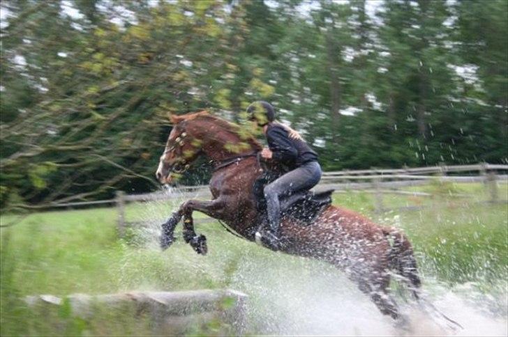 DSP Bonheur A Tout billede 4