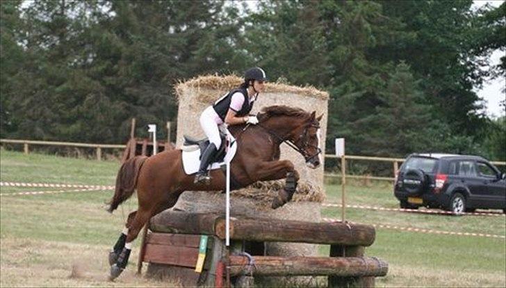 DSP Bonheur A Tout billede 7