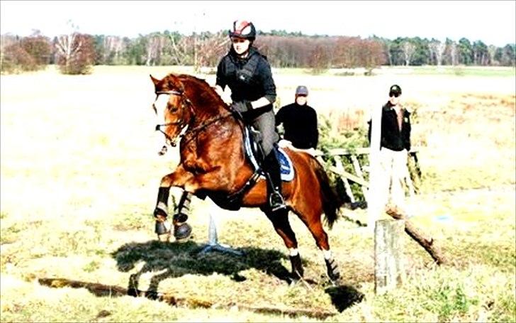 DSP Bonheur A Tout billede 8