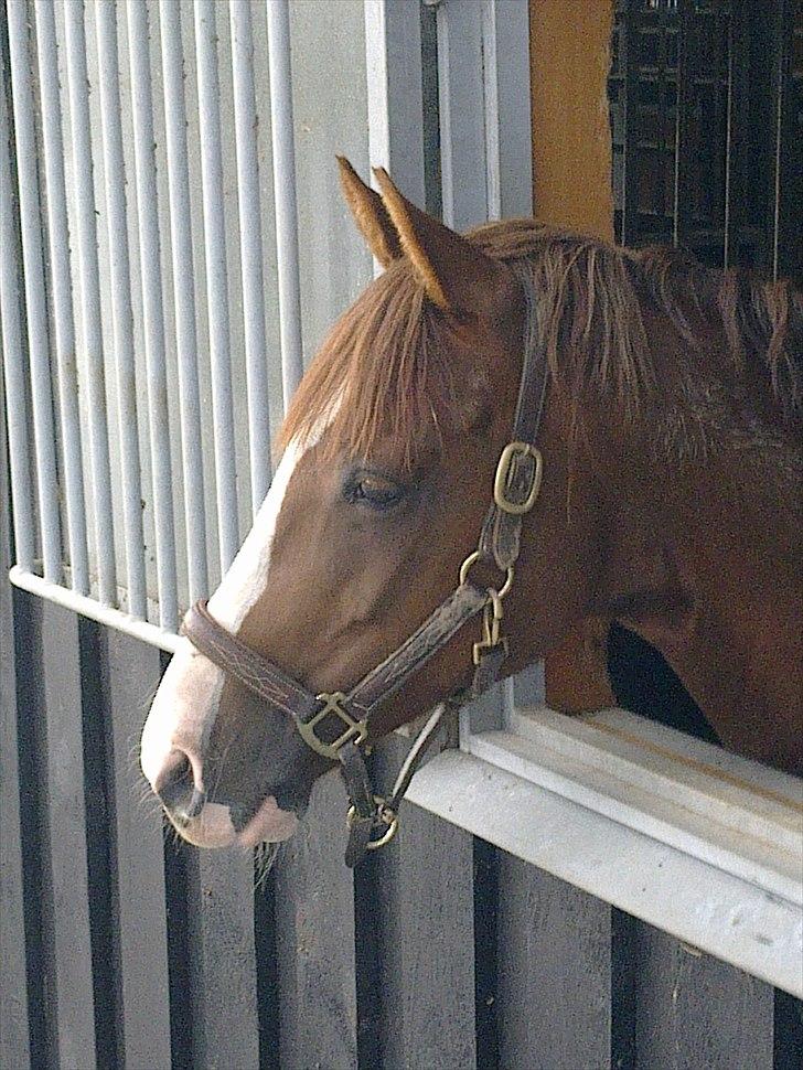 DSP Bonheur A Tout billede 9