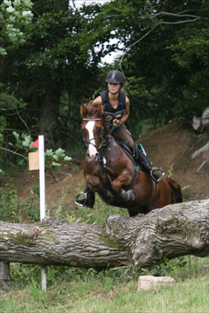 DSP Bonheur A Tout billede 10