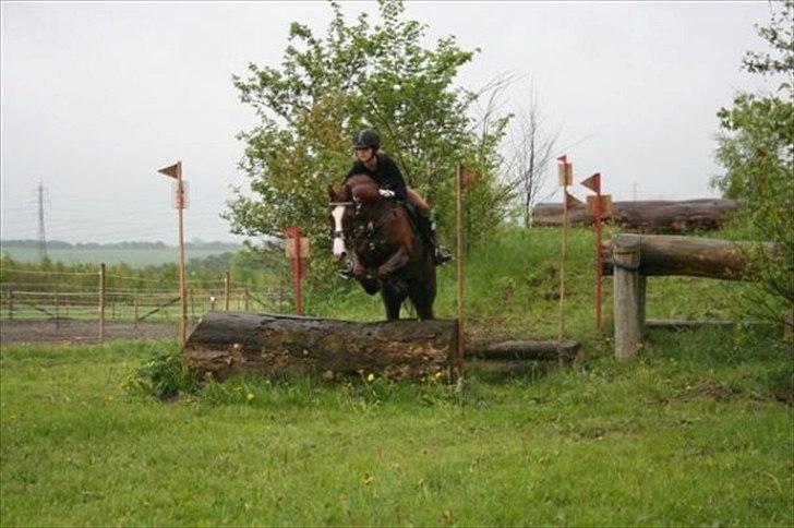 DSP Bonheur A Tout billede 11