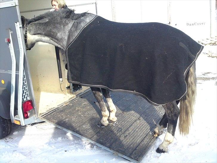 Anden særlig race [ Maybeline ] :-* - uhhh en ny tailer  billede 2