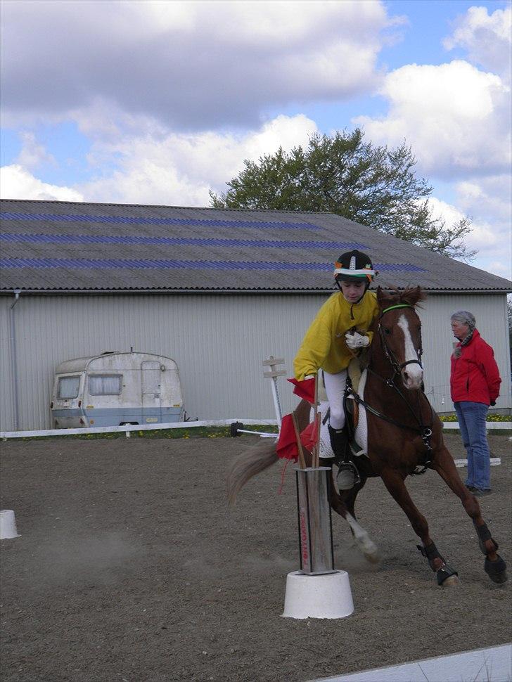 DSP Nyholms Sinatra - Ponygames!!! (: billede 6