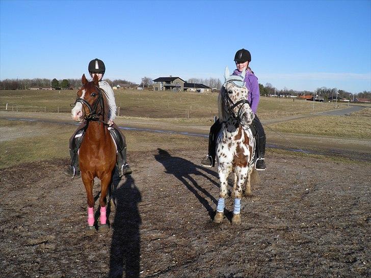 DSP Nyholms Sinatra - De to drengerøve ! xD billede 8