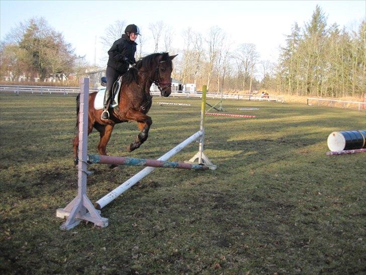 Traver Torino (Know It All) billede 12