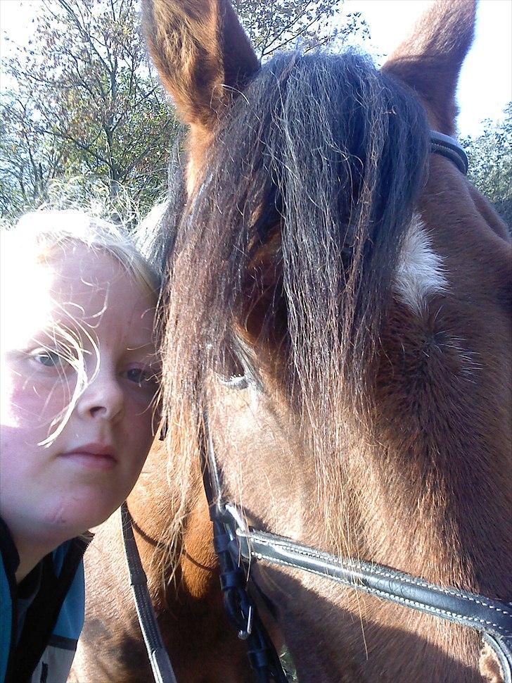 Anden særlig race Bommerlunds Streetboy - når vi 2 er sammen, ved jeg at vi kan alt (eller rigtig meget) billede 12