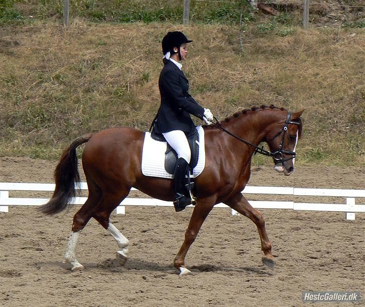 DSP Bonheur A Tout billede 12