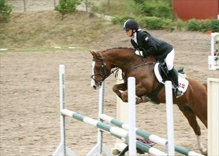 DSP Bonheur A Tout billede 13