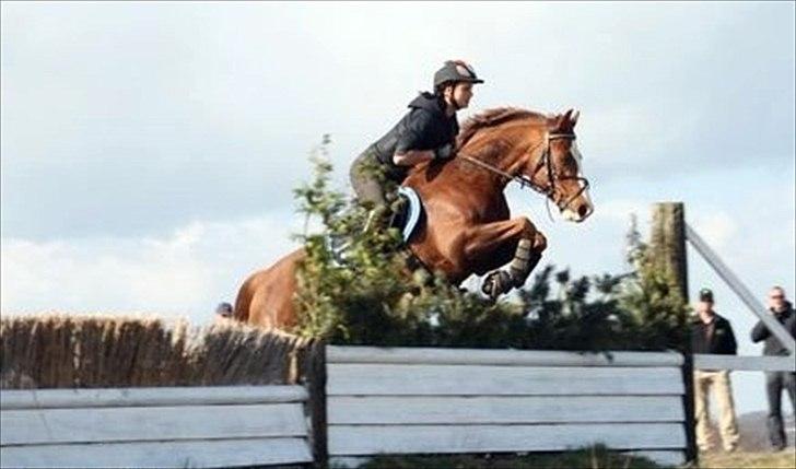 DSP Bonheur A Tout billede 14