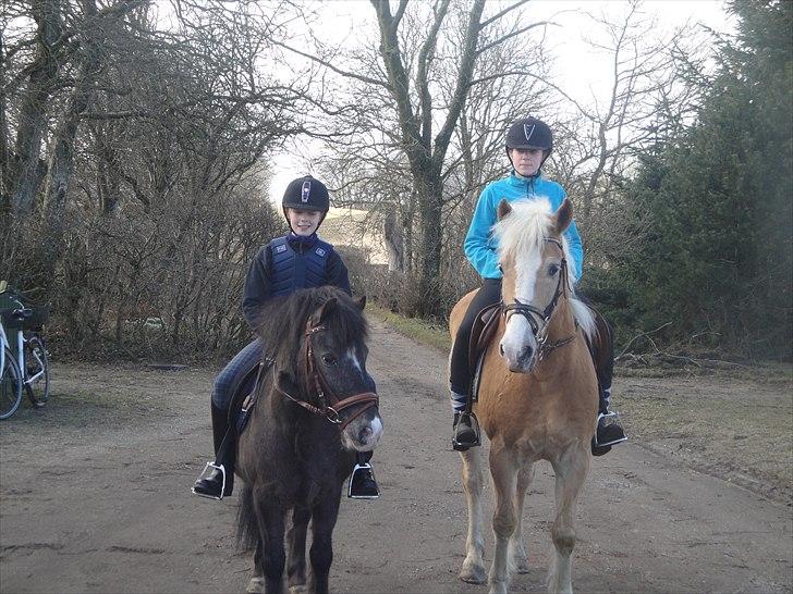 Haflinger mustang(rideskolehest) - 3) tur, tenna+max & mig+mustang 
foto: maja :):).  billede 3