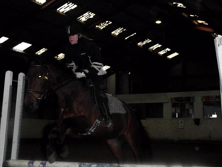 Anden særlig race Laura (red i sommers) - Springer med Majbritt billede 12