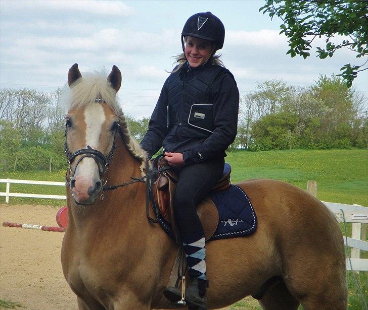 Haflinger mustang(rideskolehest) - 5) foto: emma taaak!:) billede 5