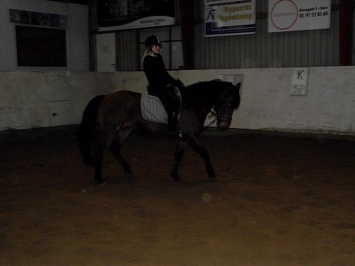 Anden særlig race Laura (red i sommers) - Dressur:) Fine Laura og Majbritt alletiders par:) billede 13