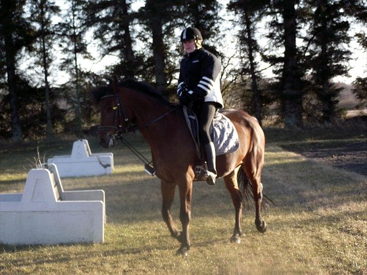 Anden særlig race Laura (red i sommers) billede 14