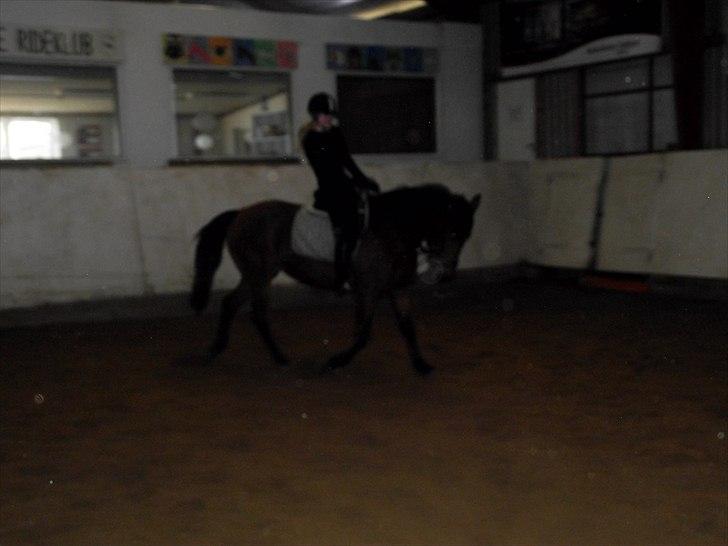 Anden særlig race Laura (red i sommers) billede 15