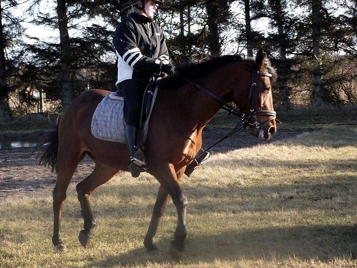 Anden særlig race Laura (red i sommers) billede 16