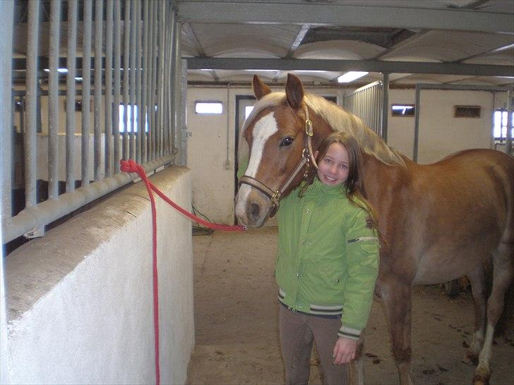 Anden særlig race Salvador billede 17