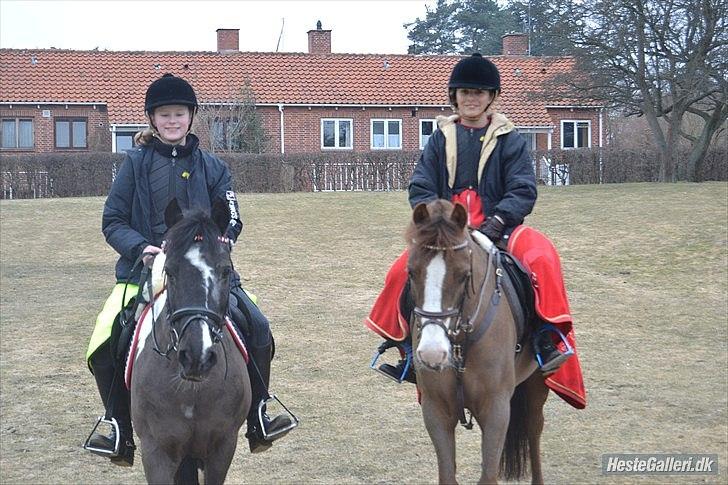 Tysk Sportspony Farina - Nurg<3 Bounty og Stino, mig og farina efter spring undervisning<3:D foto: Nina Kruse tak billede 12