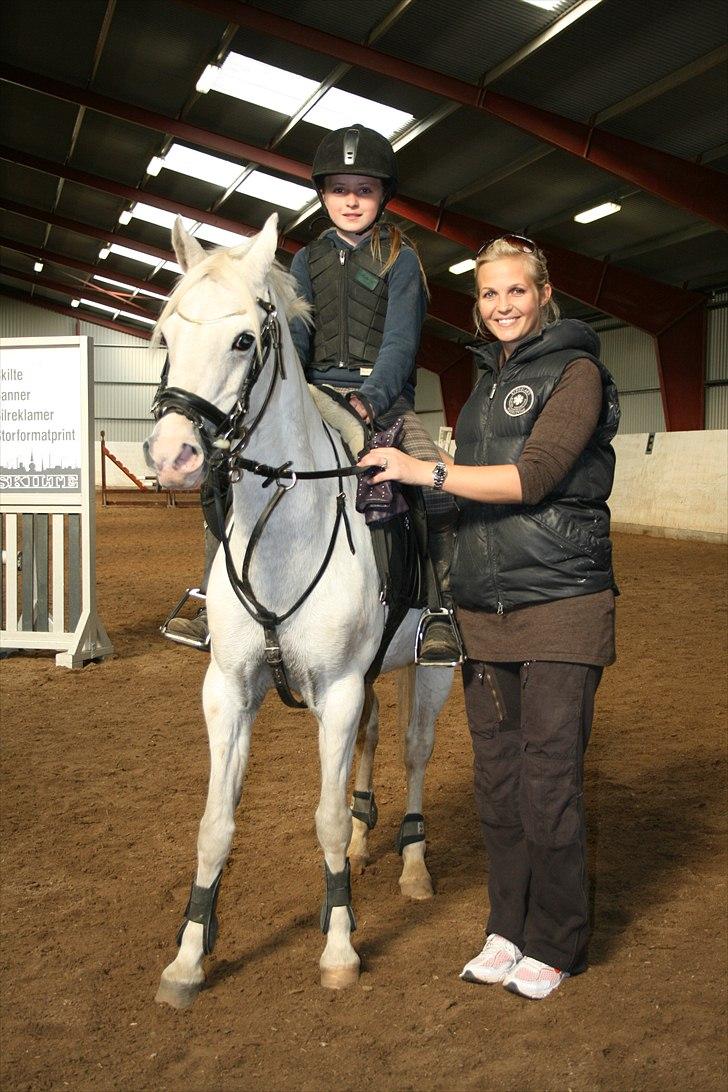 Welsh Pony (sec B) Stendyssen´s sunglimps <3 - Fed spring undervisning sammen med min stjerne pony glimmer!<3 og de bedste venner,også Tina Lund!!! :D :D billede 12