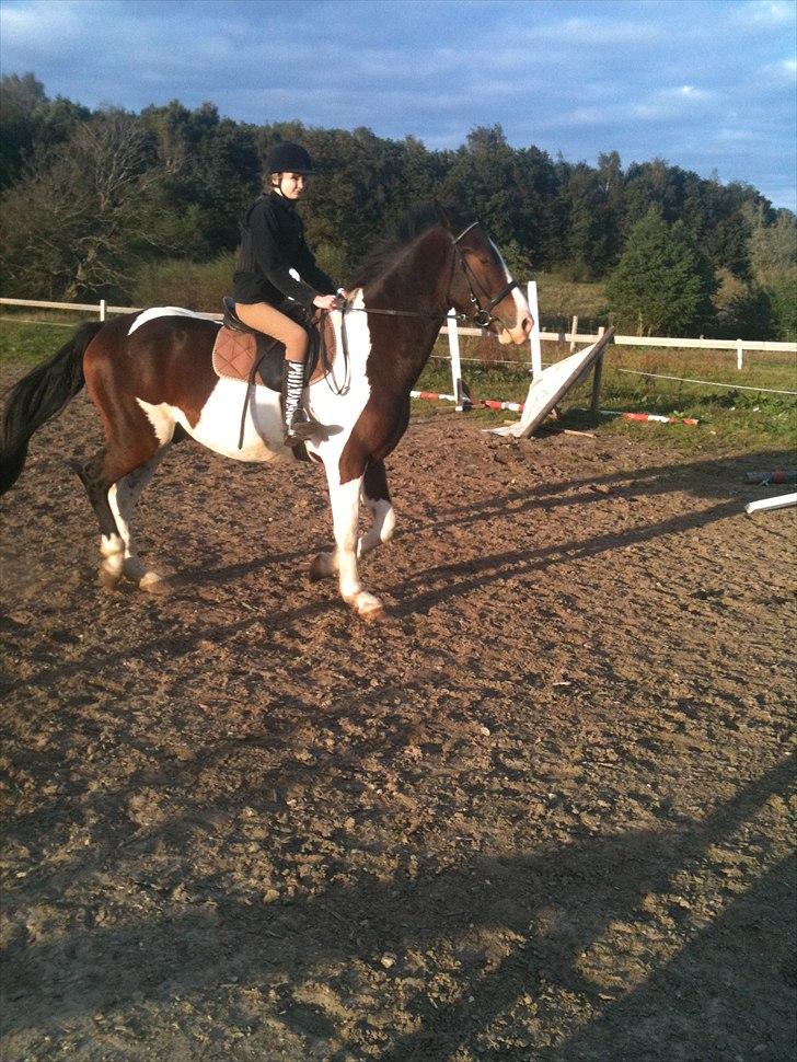 Pinto Manse<3 - Her rider jeg på banen med min part Sarah !<3 billede 5