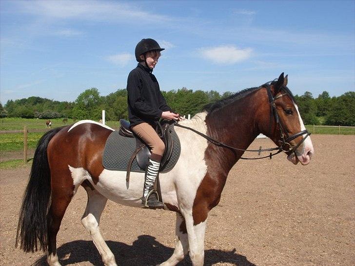 Pinto Manse<3 - Så er jeg færdig med at ride  :D billede 6