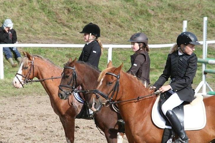 Anden særlig race Moon-Star - trætte :I billede 18