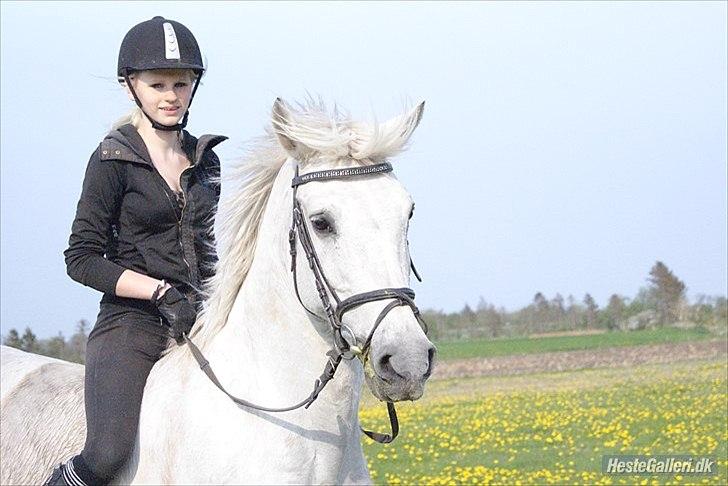 Holstener Calina billede 2