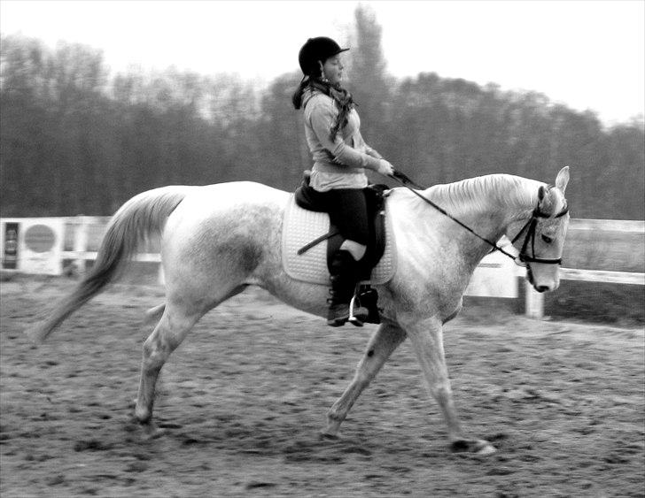 Anden særlig race JUNIQUE - 12) Junique og jeg galop, d. 13/3-2011. Han var en smule fremadgående xD<3 billede 12