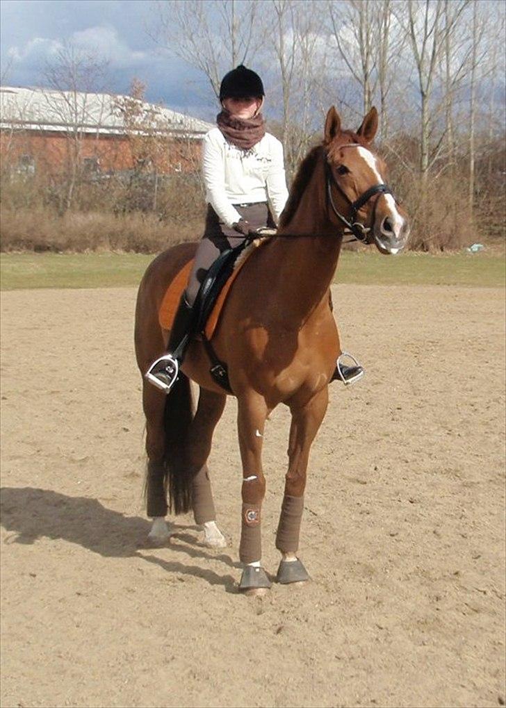 Fuldblod (XX) Cadence - Bette "Kaj" & Jeg :-) 26.03.2011 billede 6