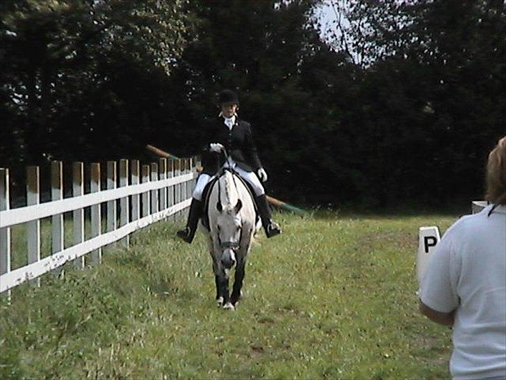 DSP Beluga dsp 515 SAVNET billede 9