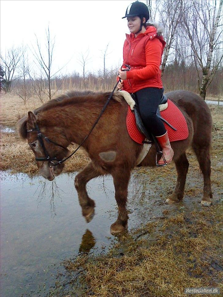 Anden særlig race Anton - Mig og Anton på tur :D billede 6
