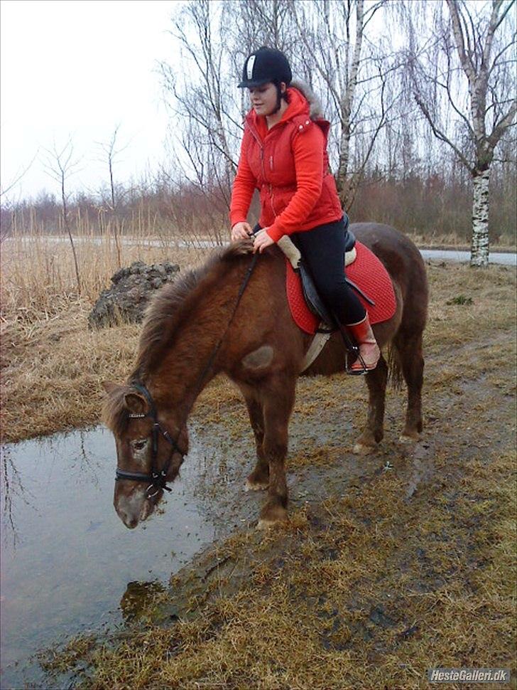 Anden særlig race Anton - Mig og Anton på tur :D billede 7